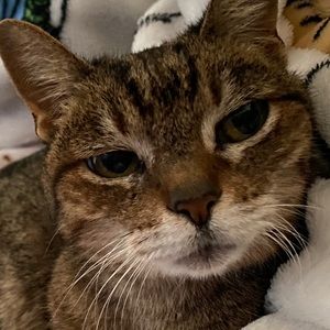 Meet your Posher, Jacqueline